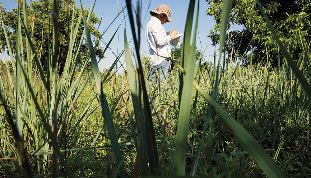walking on land taking notes
