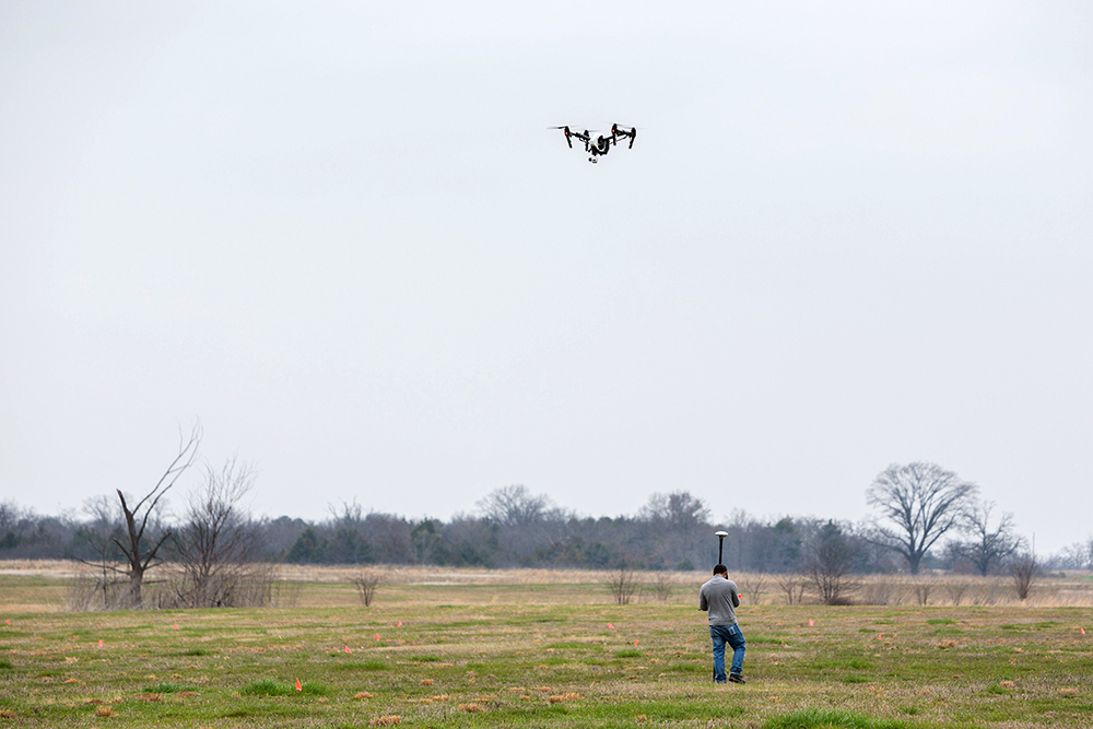 marking locations of incoming pecan trees