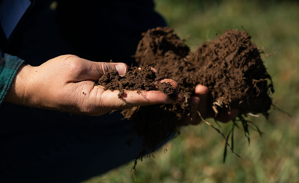 handful of soil