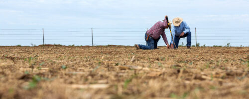 A Fresh Set of Eyes on Your Land: Noble Brings Regenerative Guidance Direct to Producer’s Operations thumb