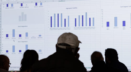 looking over investment charts