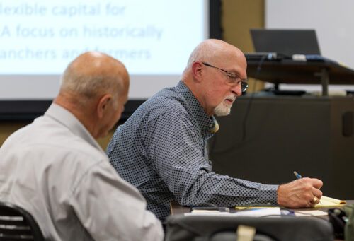 strategic planning with a consultant