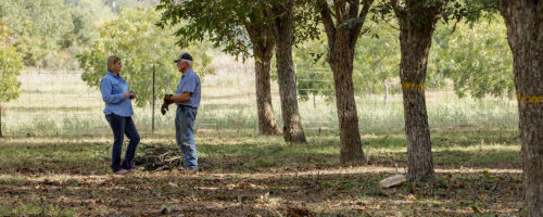Addressing the Root Causes of Our Problems thumb