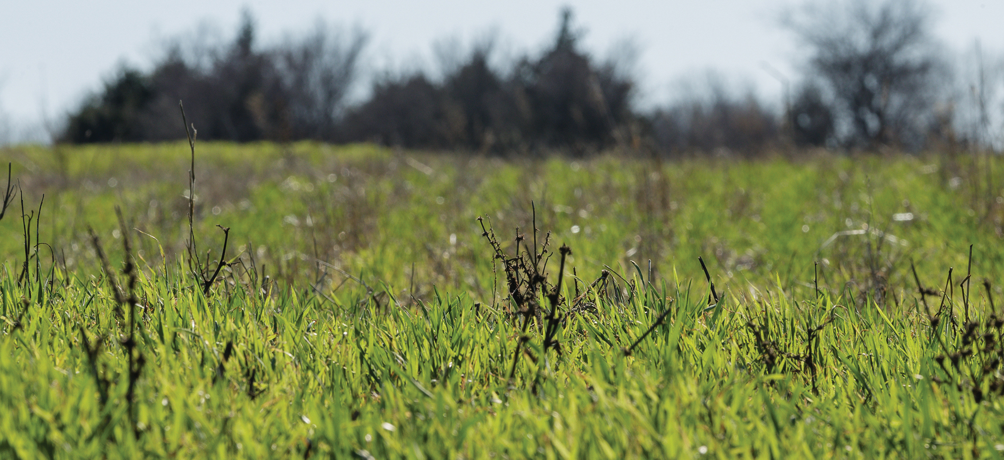 Before You Go: Q&A with Jason Roundtree