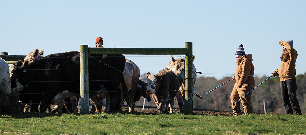 smallest corner of the US