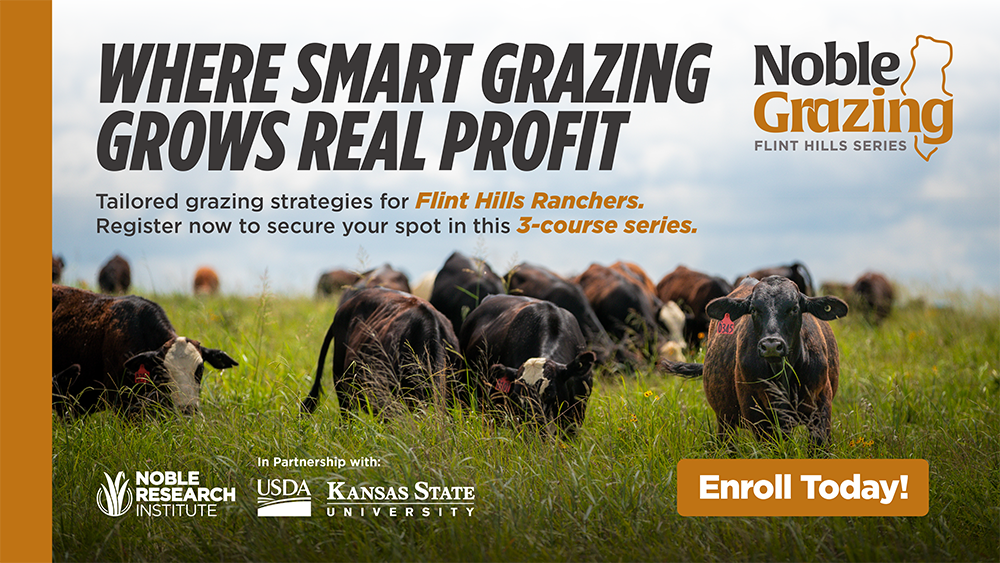 Noble Grazing Flint Hills Ad