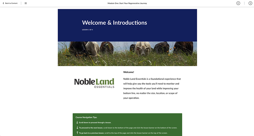 NLEO screenshot