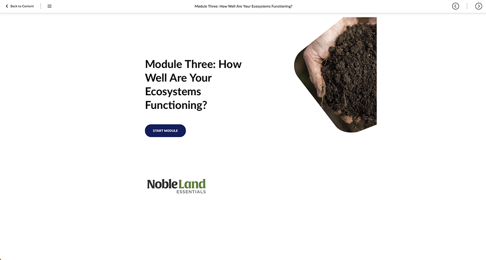 NLEO screenshot