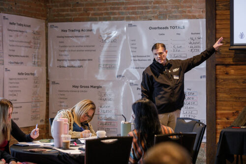workshop participants go through lessons