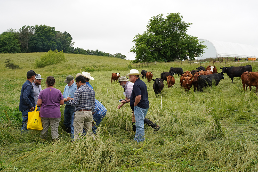 classroom in the pasture