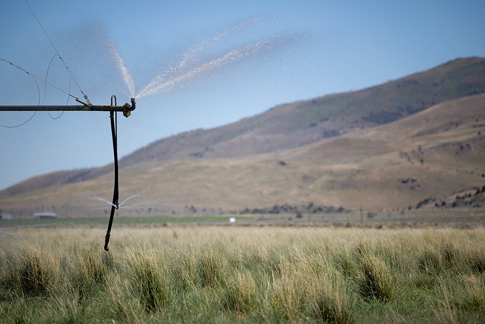 high desert ranching