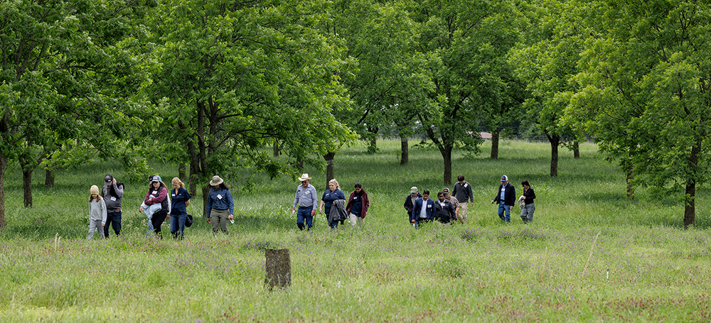 Science and Community-Building Bring Pecan Growers