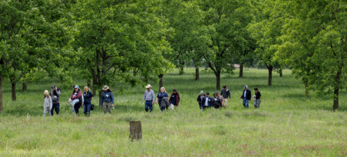 Science and Community-Building Bring Pecan Growers to Ardmore  thumb
