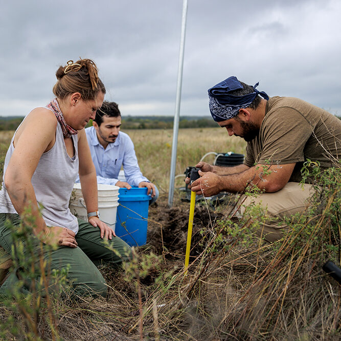 Researchers in the field