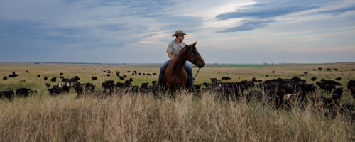 Black Leg Ranch Named 2026 Noble Land Stewardship Award Recipient thumb