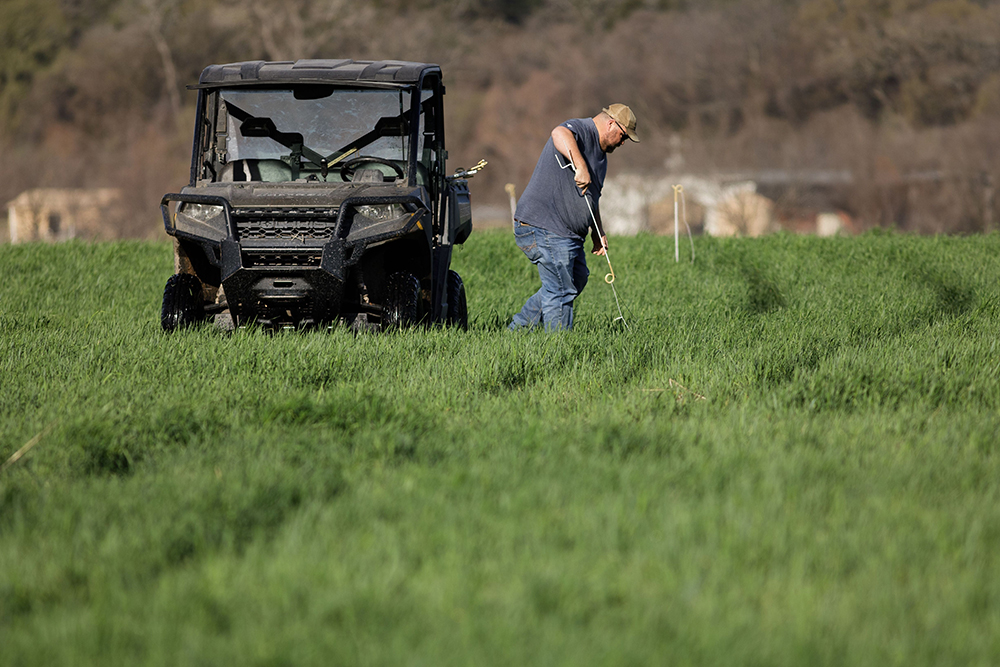 rancher checking pasture